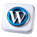 Seo Para Wordpress
